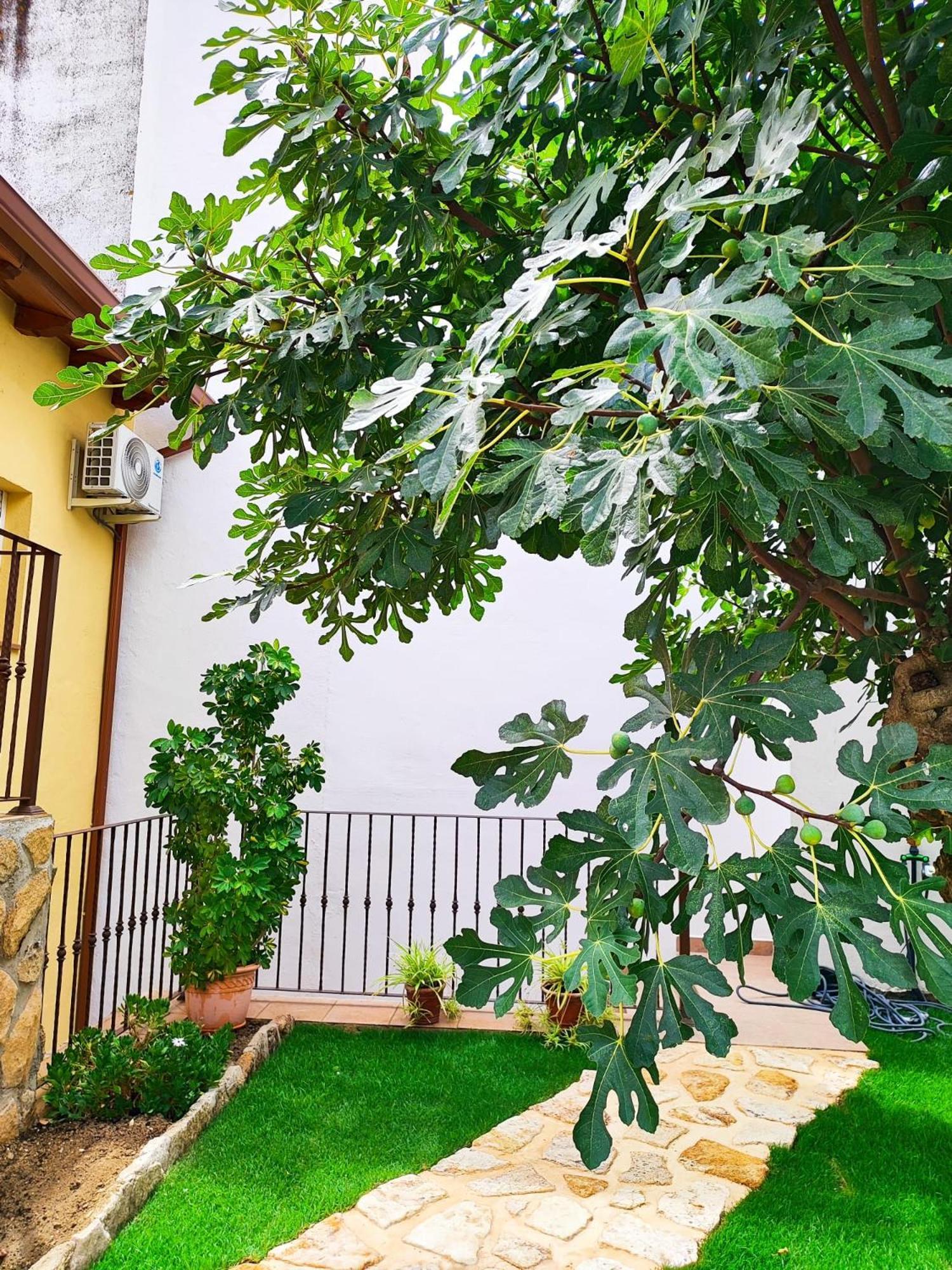 Вилла La Casita De Ra Кастильо-де-Баюэла Экстерьер фото